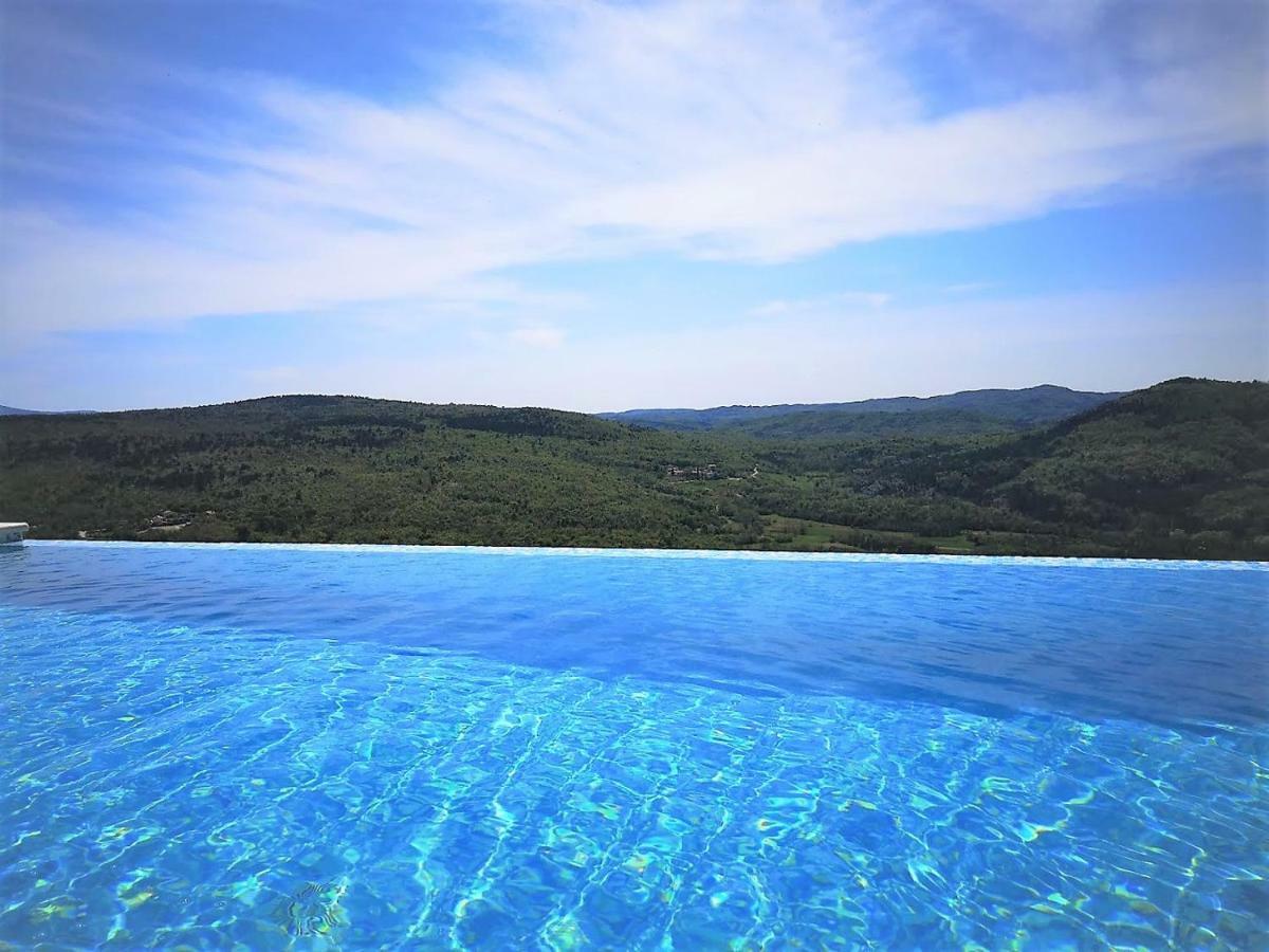 Home Andrea With Infinity Salty Pool Roč المظهر الخارجي الصورة